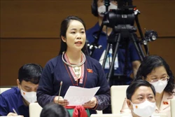 Đại biểu Quốc hội tỉnh Yên Bái Triệu Thị Huyền phát biểu ý kiến. Ảnh: Doãn Tấn - TTXVN 