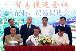 Lễ ký kết tiêu thụ chè giữa doanh nghiệp của tỉnh Hà Giang với doanh nghiệp tỉnh Vân Nam (Trung Quốc). Ảnh: TTXVN phát