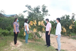 Tín dụng chính sách xã hội góp phần hỗ trợ phát triển, đa dạng hóa sinh kế và nhân rộng mô hình giảm nghèo