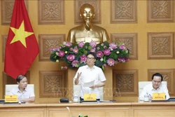 Phó Thủ tướng Vũ Đức Đam, Phó Chủ tịch Hội đồng Quốc gia Giáo dục và Phát triển nhân lực phát biểu. Ảnh: Doãn Tấn – TTXVN