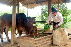 Sơn La: Vốn chính sách thành điểm tựa cho phụ nữ vùng cao