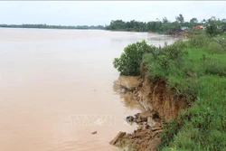 Bờ sông Thạch Hãn đoạn qua phường Đông Lương, thành phố Đông Hà bị sạt lở do mưa lớn. Ảnh: Nguyên Lý-TTXVN 