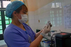 Kiểm tra vaccine phòng COVID-19 trước khi tiêm. Ảnh: Nguyễn Chinh - TTXVN 