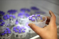 Vaccine phòng COVID-19 của Pfizer-BioNTech . Ảnh: THX/TTXVN