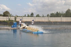 Tiền Giang phát triển nuôi hải sản ven biển