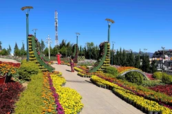 Festival Hoa Đà Lạt sẽ diễn ra trong 2 tháng với 51 chương trình đặc sắc