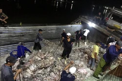 Chuyển hải sản đánh bắt được lên Cảng cá Tắc Cậu (huyện Châu Thành, tỉnh Kiên Giang). Ảnh: Lê Sen - TTXVN 