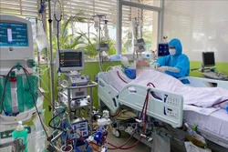 Bệnh nhân 91 (43 tuổi, phi công người Anh) đang được điều trị tích cực tại Bệnh viện Chợ Rẫy Thành phố Hồ Chí Minh. Ảnh: TTXVN phát