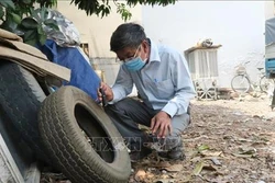 Cảnh báo dịch bệnh sốt xuất huyết vào mùa