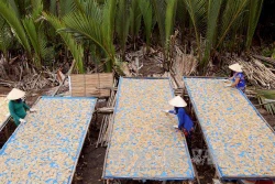 Bánh phồng tôm Mũi Cà Mau được chứng nhận nhãn hiệu tập thể