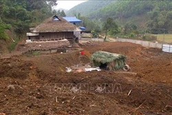TTXVN lên tiếng bảo vệ phóng viên tại Tuyên Quang bị truy sát khi tác nghiệp