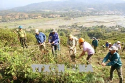 Công bố hiện trạng rừng toàn quốc năm 2017