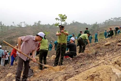 Lực lựơng Kiểm lâm tỉnh Hòa Bình hỗ trợ trồng cây. Ảnh: Thanh Hải - TTXVN 