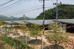 Một công trình điện mặt trời áp mái kết hợp phát triển trang trại nông nghiệp bên dưới trên địa bàn huyện Đạ Tẻh. Ảnh: Nguyễn Dũng – TTXVN