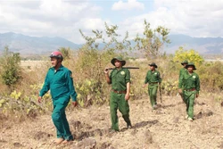 Cán bộ Trạm Bảo vệ rừng xã Phước Vinh (Ninh Phước, Ninh Thuận) cùng lực lượng tổ cộng đồng tuần tra, kiểm tra rừng tại địa phương. Ảnh: Công Thử - TTXVN 
