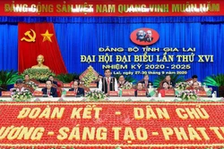 Vận dụng hiệu quả chính sách cho vùng đồng bào dân tộc thiểu số Gia Lai