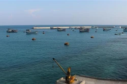 Âu tàu đảo Đá Tây A mỗi ngày có hàng chục lượt tàu thuyền của ngư dân vào neo đậu tránh trú gió và thực hiện các dịch vụ hậu cần nghề cá. Ảnh: Sỹ Tuyên - TTXVN 