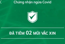 Quy định rõ "người có app xanh được di chuyển"