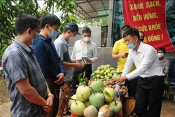 Các đại biểu tìm hiểu sản phẩm nông sản của huyện Yên Châu, tỉnh Sơn La. Ảnh: Quang Quyết-TTXVN
