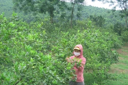 Xã miền núi Minh Khương vượt khó xây dựng nông thôn mới