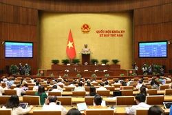 Quốc hội thông qua Luật Bảo vệ quyền lợi người tiêu dùng (sửa đổi). Ảnh: An Đăng - TTXVN