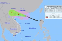 Ứng phó với bão số 1: Bão số 1 gió giật cấp 15, cách Móng Cái (Quảng Ninh) khoảng 480 km 