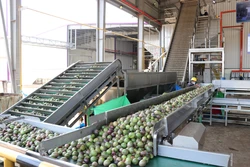 Dây chuyền sản xuất chanh dây của Công ty trách nhiệm hữu hạn Quicornac . Ảnh: Hồng Điệp