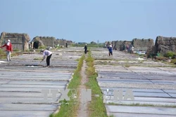 Gỡ khó cho người làm muối