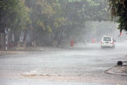 “Mưa vàng” xuất hiện tại Đắk Lắk sau nhiều tháng khô hạn