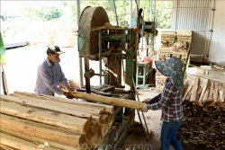 Đảm bảo quyền lợi cho người lao động sau khi mất việc
