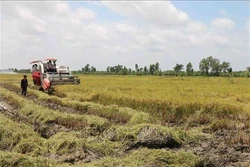 Tiếp tục đổi mới, nâng cao hiệu quả kinh tế tập thể lĩnh vực phi nông nghiệp