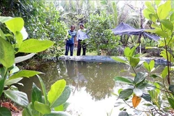 Bến Tre linh hoạt ứng phó với hạn mặn