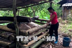 Xã vùng cao Đồng Sơn vươn lên thoát nghèo