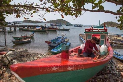 Kiên Giang tập trung phát triển kinh tế thủy sản bền vững