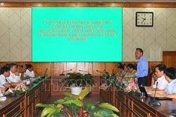Thừa Thiên - Huế cần đẩy mạnh trồng rừng gỗ lớn
