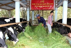 Bến Tre chuyển đổi sản xuất gắn với thích ứng biến đổi khí hậu