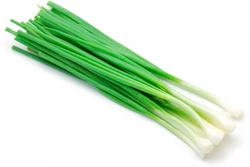 Kỹ thuật trồng hành lá