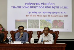 Chiều 16/2/2023, tại TP Hồ Chí Minh, Cục Trồng trọt (Bộ Nông nghiệp và Phát triển nông thôn) tổ chức họp trao đổi thông tin liên quan đến vụ việc vướng mắc trong xác nhận giống thanh long ruột đỏ Long Định (LD1) xuất khẩu đi Nhật Bản do Công ty TNHH Hoàng
