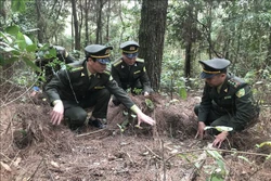 Gắn phòng, chống cháy rừng với gìn giữ và bảo vệ cảnh quan các khu di tích ở Hải Dương