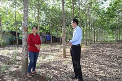 Đắk Lắk ưu tiên vốn chính sách cho vùng đồng bào dân tộc thiểu số, miền núi