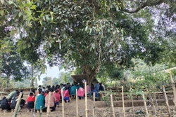 Không gian Lễ cúng bản của cộng đồng dân tộc Lào diễn ra dưới tán cây to nhiều năm tuổi, được cộng đồng cho là cây thiêng, giữ hồn bản, hồn mường. Ảnh: TTXVN phát