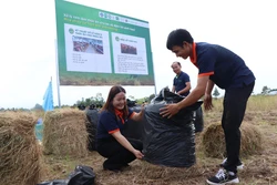 Trình diễn mô hình nông nghiệp tuần hoàn từ rơm. Ảnh: Duy Khương - TTXVN