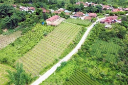 Thuận Châu đẩy mạnh Chương trình mục tiêu quốc gia giảm nghèo bền vững