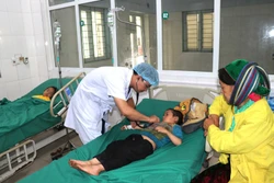 Vụ ngộ độc quả hồng châu: Một trẻ tử vong, chuyển 3 trẻ về Bệnh viện Nhi Trung ương