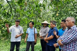 Nam Bộ khởi đầu mùa du lịch Hè ấn tượng