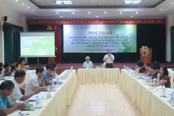Đảm bảo thực thi quyền sở hữu trí tuệ đối với sản phẩm chè Thái Nguyên
