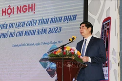 Ông Lâm Hải Giang, Phó Chủ tịch Ủy ban Nhân dân tỉnh Bình Định cập nhật cơ chế chính sách tạo điều kiện thuận lợi cho cộng đồng doanh nghiệp xúc tiến, quảng bá, đầu tư phát triển du lịch trên địa bàn Bình Định tại hội nghị. Ảnh: Mỹ Phương - TTXVN