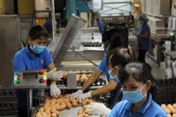Thành phố Hồ Chí Minh triển khai đề án truy xuất nguồn gốc thịt gia cầm và trứng