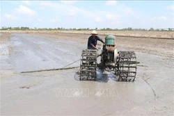 Biến đổi khí hậu: Điều chỉnh lịch thời vụ “né” hạn, mặn