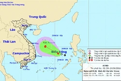 Áp thấp nhiệt đới gây mưa dông cả nước